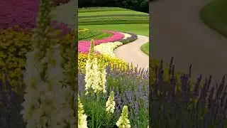 A garden walk that lets time slow naturally