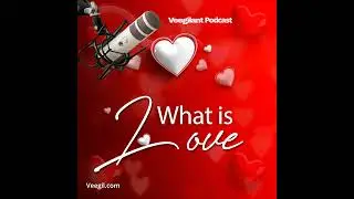 What is Love? | Veegilant Podcast | Veegil Media