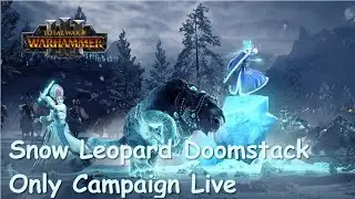 Snow Leopard Doomstack Only Campaign Part 18 Total War Warhammer III Live