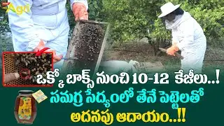 Honey Bee Farming | ఒక్కో బాక్స్ నుంచి 10-12 కేజీలు..! సమగ్ర సేద్యంలో తేనే పెట్టెలతో.. Tone Agri