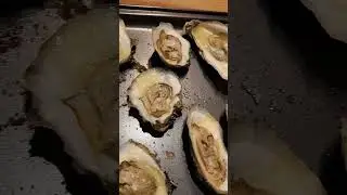 Roasted Oysters  Wild Foraged #wildfood #oysters #recipe