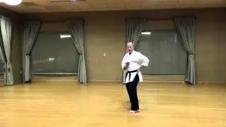 Cat Stance Knife Edge Block