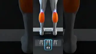 Grow Bigger Calves Fast! 🦵 No More Chicken Legs! | #Shorts