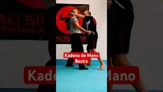 Kali Martial Arts and Kali Empty Hands Kadena de Mano Basics  #martialart  #kali #shorts