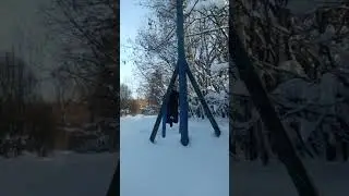 Туда - Сюда. 🔥🌲🏃🧌. #liohastyle #набрусьяхуозера #юмор #310126.