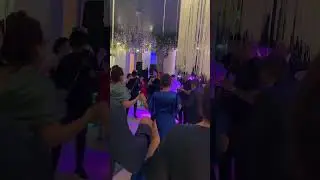 Loredana Pavel live la nuntă &icirc;n București colaj / horă