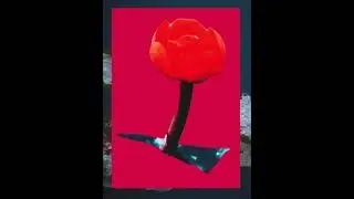 Still Woozy - That's Life (Official Video) Son remix