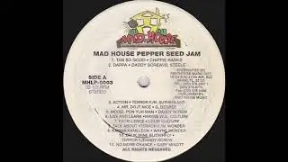 Pepperseed Jam Mix Various Artists Pt 1 (1994)  Mad house Dave Kelly