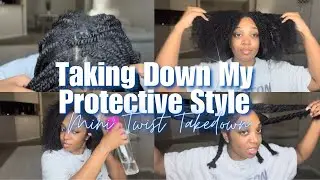 MINI TWIST TAKEDOWN FROM START TO FINISH | TRIMMING MY NATURAL HAIR