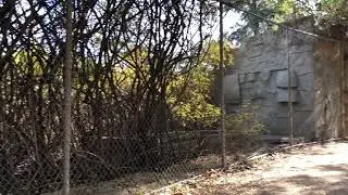 Exploring The Old Abandoned Los Angeles Zoo