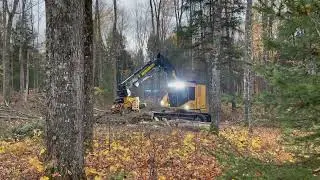 Tigercat 822D w Tigercat 570 Fixed Head