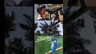 Best place to explore is Mothernature in Kokan. #shorts #youtubeshorts