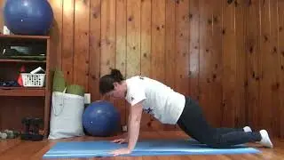 Modified Spider Man Plank