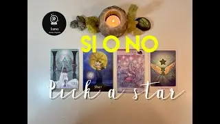 S&iacute; o No ? Pick a Card 🌟- Spanish Reading 🌟(use video setting icon for English Translation 🙏🏻)