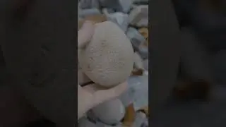 Yap Island