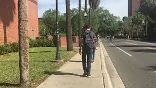Non Narrative Film