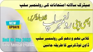 Download 9th & 10th Roll No Slip First Annual Examinations 2023 | Matric Annual | Taleemi Khabrain
