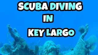 Scuba Diving in Key Largo | Caribbean Reef Sharks | Barracuda | Sunken Ship