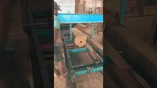Teak Wood Cutting #skills #diy #youtubeshorts #viral #teak