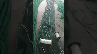 Trawl Netting