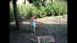 DSCN9623.avi Будующее.