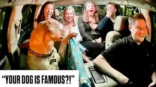 Passengers Meet The Famous UBER DOG!