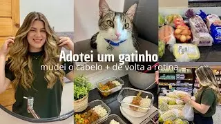 VLOG DE VOLTA A ROTINA | adotei um gatinho, mudança no cabelo, marmitas da semana 