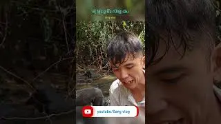 sang vlog bị lạc giữa rừng s&acirc;u #fansangvlog #sangvlogs