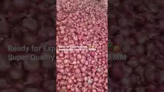 Your trusted partner in foodstuff trading. #OnionExport #SUFT #UKbound #FarmToFork #GlobalAgriTrade