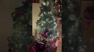 🙈 Santa Claus Ate too many Cookies!! Oh No!!! #stuck #chimney