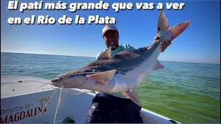 TV Nº572 17-02-2023 El patí más grande que vas a ver en el Río de la Plata