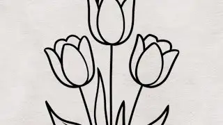 Tulips 🌷 Flowers Drawing  🩷🫟🎨🫶🏻