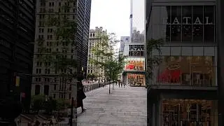 Morning Walk in New York 🌆🏞️ 🌲#modelife #youtubeshorts #shortvideo #shorts #short #youtube #newyork