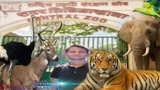 नेपाल सेन्ट्रल जू के यात्रा | Visit to Nepal Central Zoo || Sanatan Maithili ||