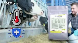 001 Goodbye to Heat Stress | ANTI-STRESS FORT: The Ultimate Solution for Animal Health & Performance