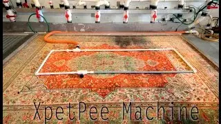 Carpet Cleaning Industry of Today -By PetPeePee® Company