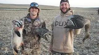 Hunting Pintails and Badgers with a Subscriber in North Dakota! Catch Clean Cook