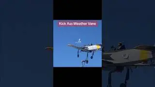 Kick ass weather vane