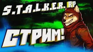 🟩STALKER RP ИСТОКИ🟩ТОП ХАРИЗМАТИЧНЫЙ СТРИМ! Наслаждаемся лучшей атмосферой сталкера в рп!🟩