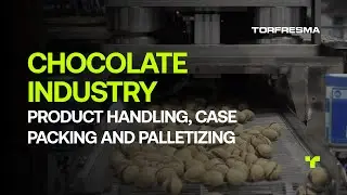World Chocolate Day - Case Packing and Robotic Palletizing