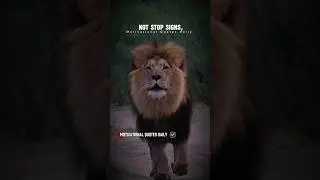 Problems are not stop signs...😱 Sigma rule 🥶#motivation #lion #quotes