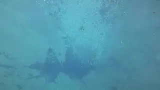Ponce de Leon Springs. Diving to the bottom. Florida
