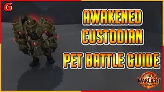 Awakened Custodian Pet Battle Guide - Isle of Dorn - The War Within