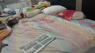 Ceiling Fan Falling Down 