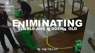 Conquering Mold Damage: Comprehensive Cleanup Services in Utah 🌟🏡