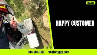 TALL PINE TREE REMOVAL WITH BUCKET TRUCK / TREE LIFE 1 LLC / 584TREE.COM  / TIME LAPSE /JACKSONVILLE