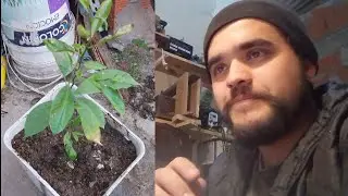 VLOG N°30: Lento es MAS rápido.