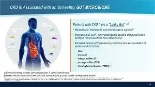 The Gut&ndash;Kidney&ndash;Heart Connection: What Patients Can Do Beyond Medical Treatment