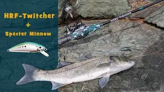 HRF-Twitcher &kappa;&alpha;&iota; Specter Minnow 5gr - &Delta;&omicron;&kappa;&iota;&mu;ή &sigma;&tau;&eta;&nu; &Chi;&alpha;&lambda;&kappa;&iota;&delta;&iota;&kappa;ή