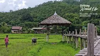 Relaxing Walk in Bamboo Bridge in Thai, Pai, Peaceful Ambience, Natural Scenery, Traditional Temple